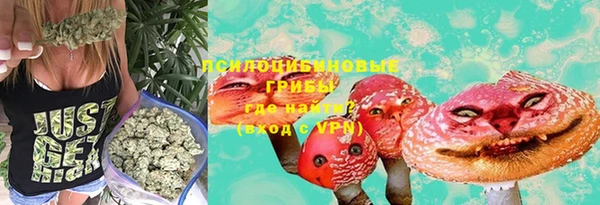 скорость Белокуриха