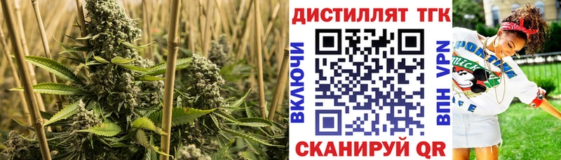 маркетплейс состав  Мглин  Дистиллят ТГК вейп  что такое  
